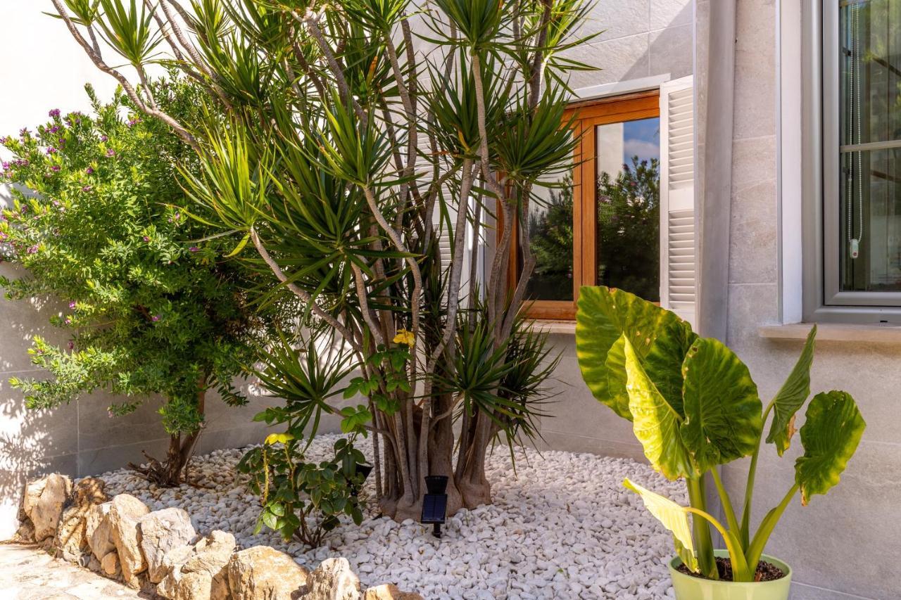 Tucan Alcudia Ferienhaus Port d'Alcúdia